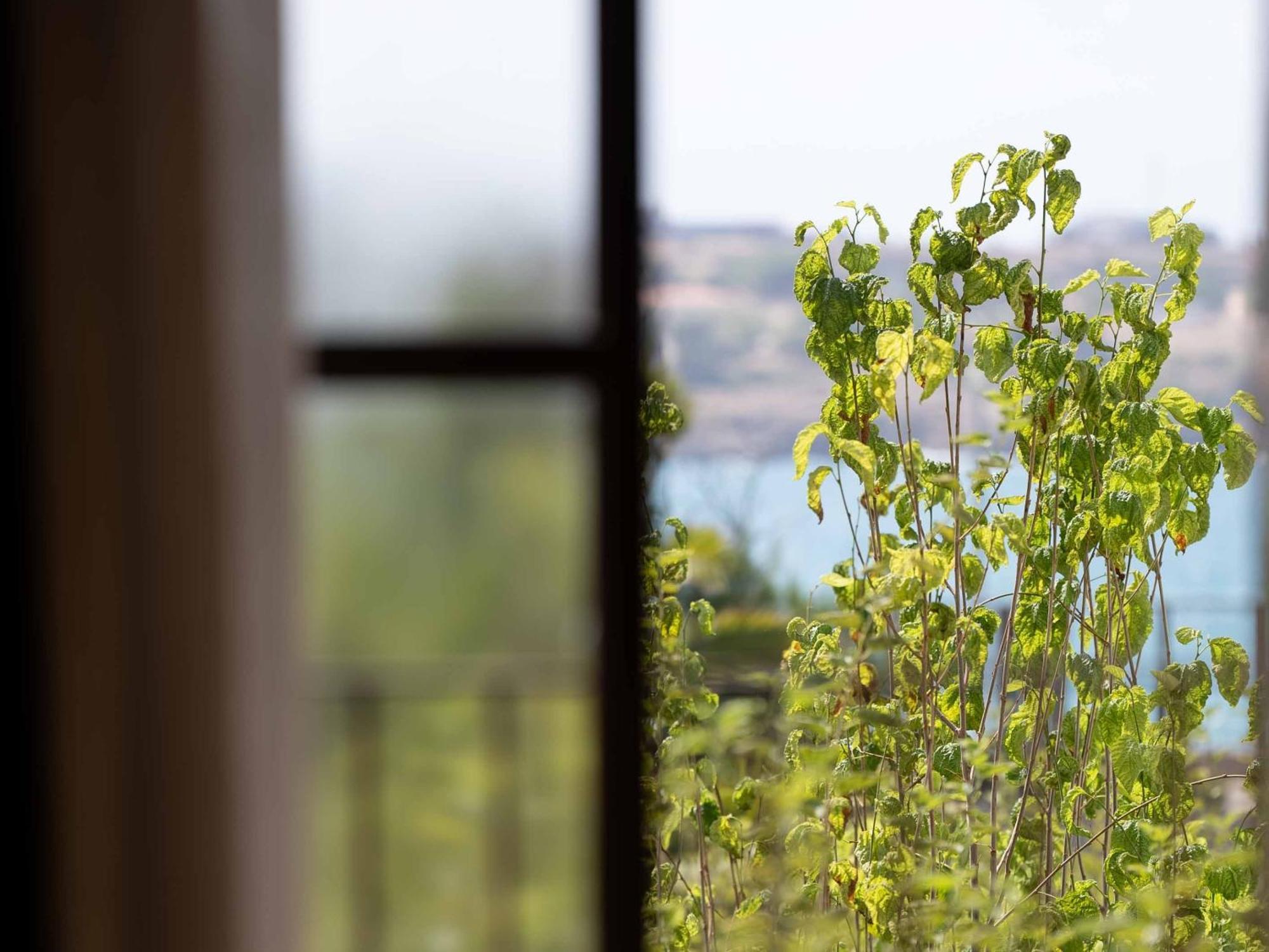 Amalen Suites Adults Only Rethymno Eksteriør bilde
